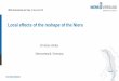 DSD-INT 2016 Local effects of the reshape of the Niers - Walter