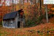 Abandoned forest-cabin-in-the-autumn-5952-1920x1080