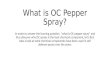 What is oc pepper spray