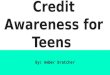 Credit awareness project