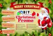 Christmas Offers in Digital Printing Business Packages by DIY Printing