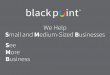 See More Business  with Black Point Interactive