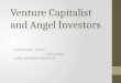 Venture capitalist and angel investors