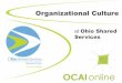 Organizational Culture Intro