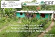 Innovation platforms at work: Supporting the transition to agroecology in Nicaragua