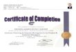 Mohsen Re certificates June 2015