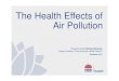 The Health Effects of Air Pollution (presentation)