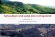 Agriculture and land use in Nagaland, Samadangla Ao