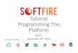 Tutorial on programming the Platform