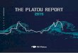 Platou Report