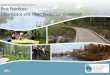 Best Practices: Greenspace and Flood Protection Guidebook