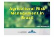 Agricultural Risk Management in Brazil