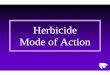 Herbicide Mode of Action (.pdf)