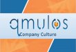 Qmulos culture presentation