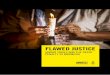 Flawed Justice: Unfair Trials and the Death Penalty in Indonesia
