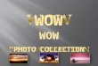 Wow Photo Collection