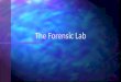 The Forensic Lab