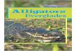 Reading for pleasure level 5: Alligators and the Everglades