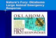 OLAFR History/Disaster Preparedness for Animal Owners