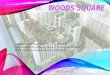 Woods square