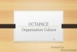 Organization Culture (OCTAPACE)