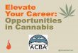 Elevate Your Career: Job Opportunities in Cannabis
