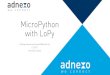 Getting Started with MicroPython and LoPy