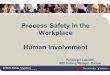 Process safety management system