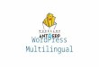 WordPress Multilingual: WordCamp Antwerp 2016