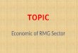 Economic of RMG sector