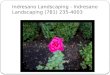 Indresano Landscaping - Indresano Landscaping (781) 235-4003