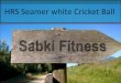 HRS Seamer white Cricket Ball - sabkifitness.com