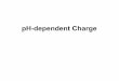 pH-dependent Charge