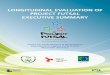 longitudinal evaluation of project futsal executive summary