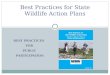 best practices for state wildlife action plans, Katy reeder