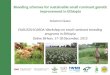 Breeding schemes for sustainable small ruminant genetic improvement in Ethiopia