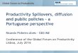 Productivity Spillovers, Diffusion and Public Policies: A Portuguese Perspective