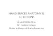 Hand spaces anatomy & infections
