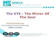The Eye : The Mirror of The Soul
