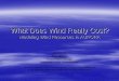 What does wind really cost? Modeling Wind Resources In AURORAxmp