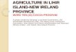 AGRICULTURE IN LIHIR ISLAND-NEW IRELAND PROVINCE - Henry Baraka