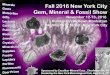 Fall 2016 New York City Gem, Mineral & Fossil Show