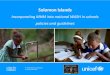 Solomon Islands - Incorporating MHM into national WASH in 