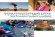 Clean cookstoves and fuels: A catalog of carbon offset projects and 