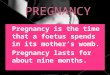 Pregnancy powerpoint final