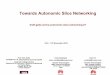 Slice Networking and Management - Research Challenges and