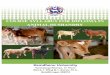 Course Syllabus for Diploma in Animal Husbandry