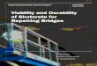 Viability and Durability of Shotcrete for Repairing Bridges