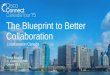 The Blueprint to Better Collaboration