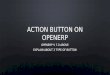 Action button open erp